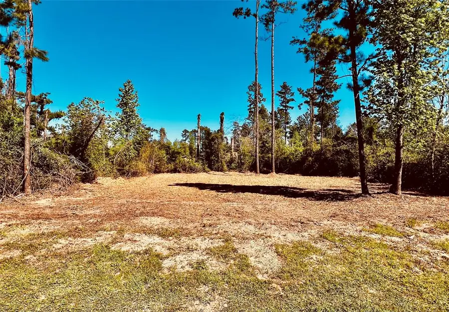 171 Brahman, Onalaska, TX 77360 - Image #2