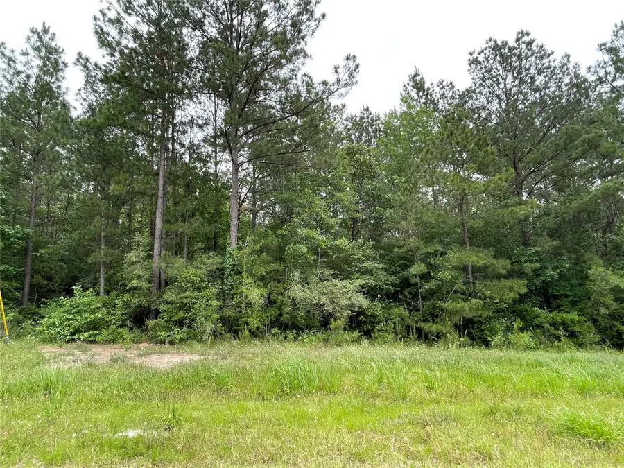 000-000 Hereford Trail, Huntsville, TX 77340 - Image #2