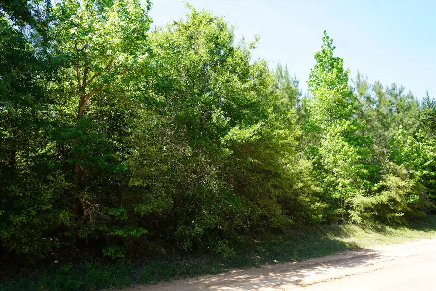 03 Tbd Sh 146/e Schwab, Livingston, TX 77351 - #3