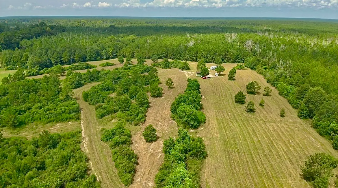 81363 George Sanner Rd Road, Village Mills, TX 77663 - Image #1