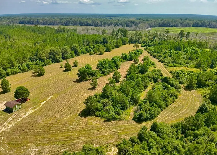 81363 George Sanner Rd Road, Village Mills, TX 77663 - Image #3