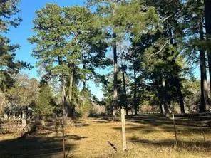 473 Marion Lane, New Waverly, TX 77358 - Image #1