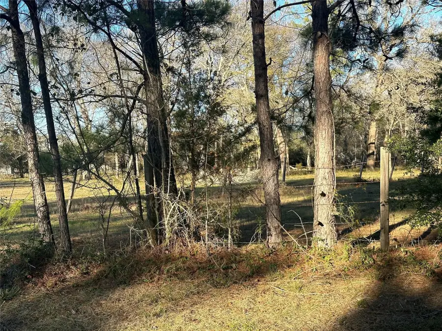 473 Marion Lane, New Waverly, TX 77358 - Image #3