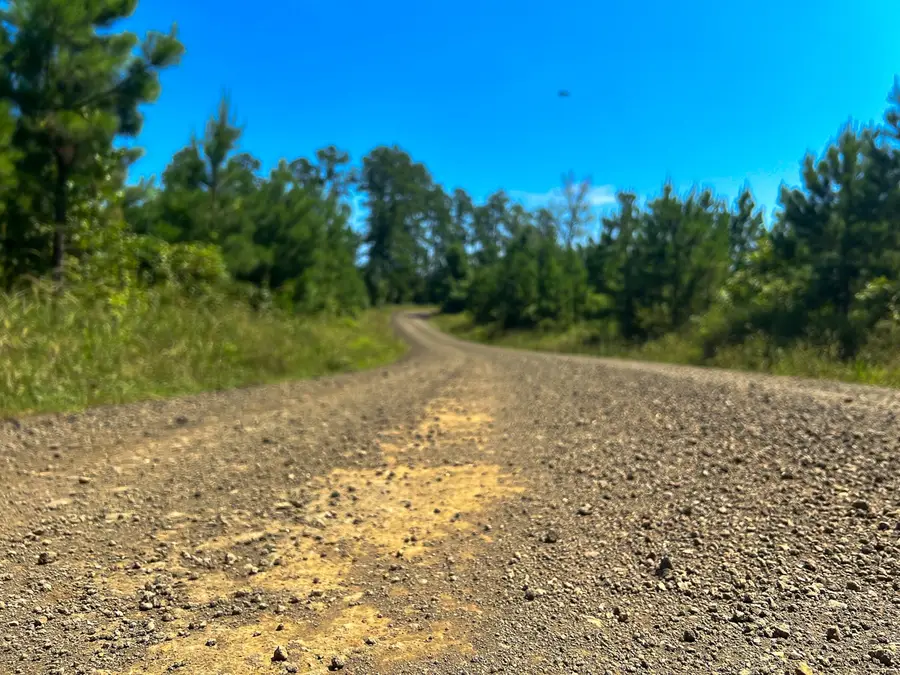 12 Carters Ferry Road, Milam, TX 75959 - #3