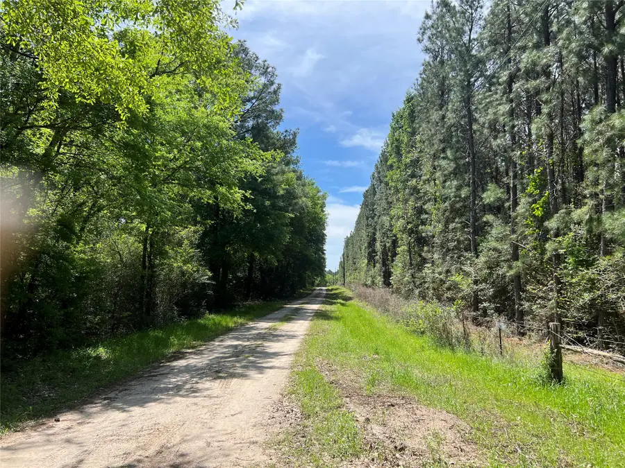 Tract 2 English Road, Bedias, TX 77831 - #3