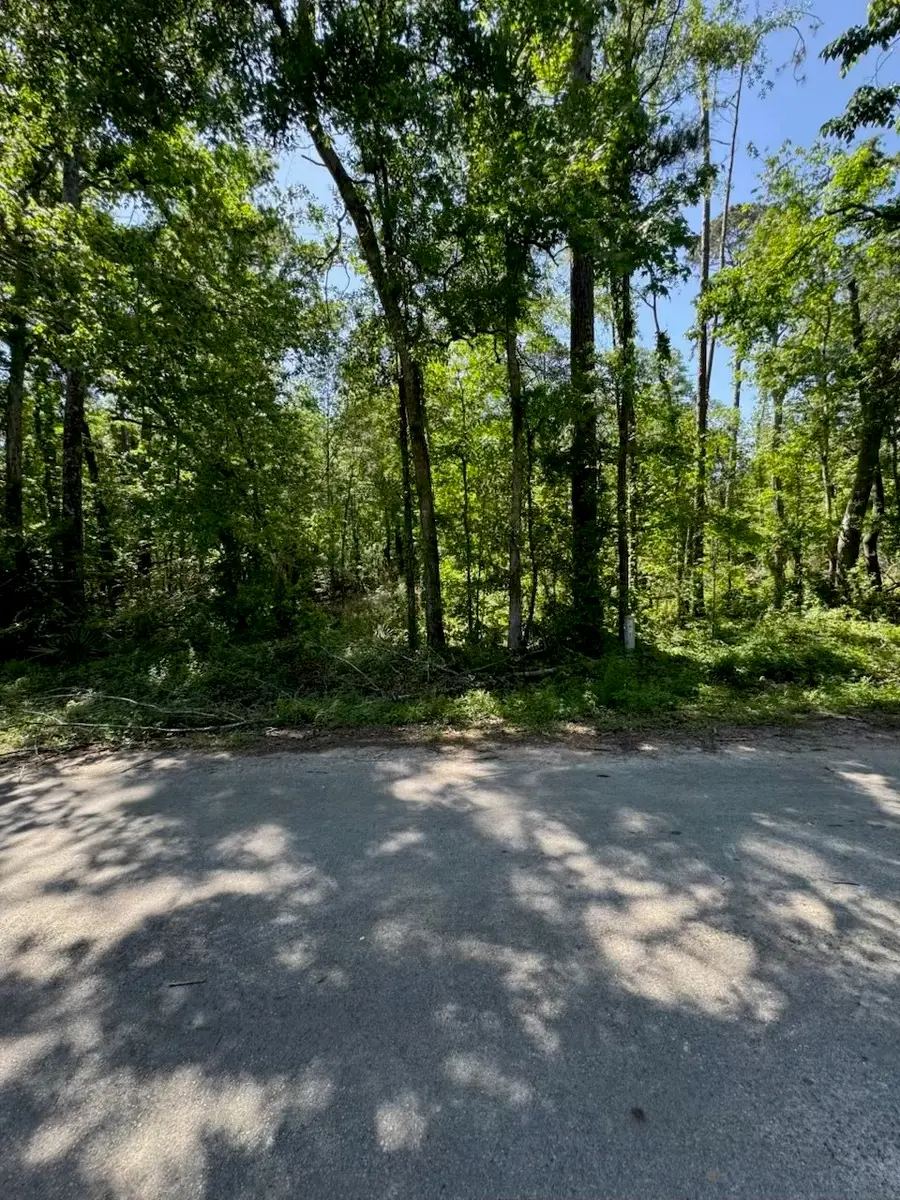 146 County Road 3475, Cleveland, TX 77327 - Image #2