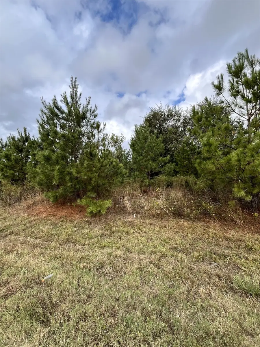511 County Road 5017, Cleveland, TX 77327 - Image #2