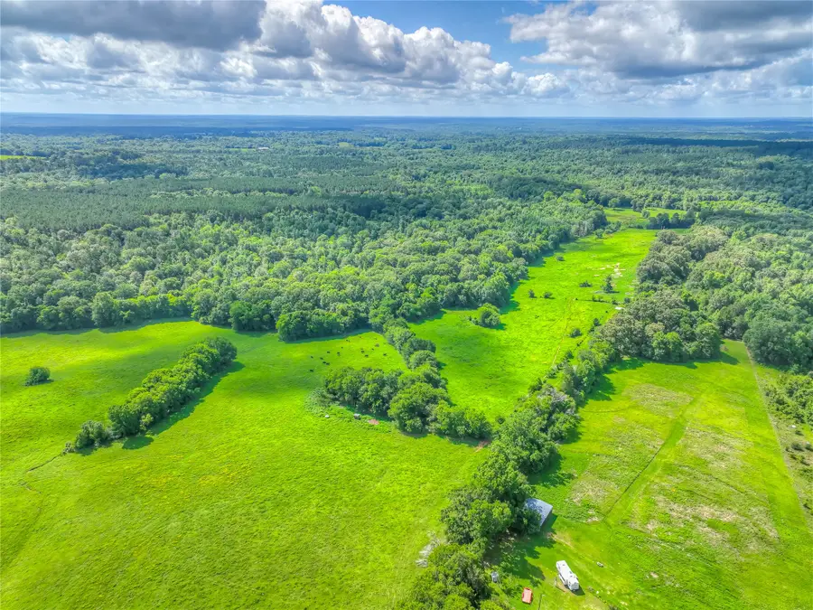 000 County Road 1750, Grapeland, TX 75844 - #3