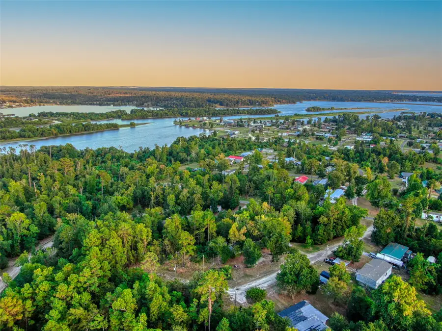 184 Willow Drive, Onalaska, TX 77360 - Image #3