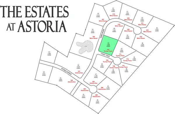 103 Turney Trace Avenue, Round Top, TX 78954