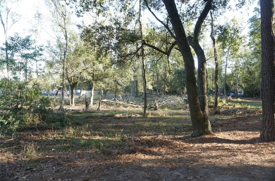 424 S Avenue D, Humble, TX 77338 - Image #3