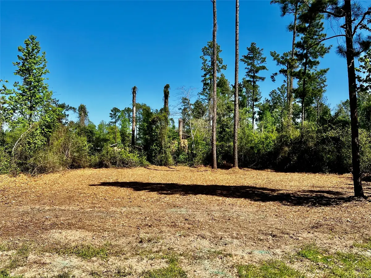 171 Brahman, Onalaska, TX 77360 - #1