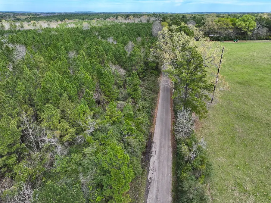 4 Eugene Walker Road, Huntington, TX 75980 - Image #2