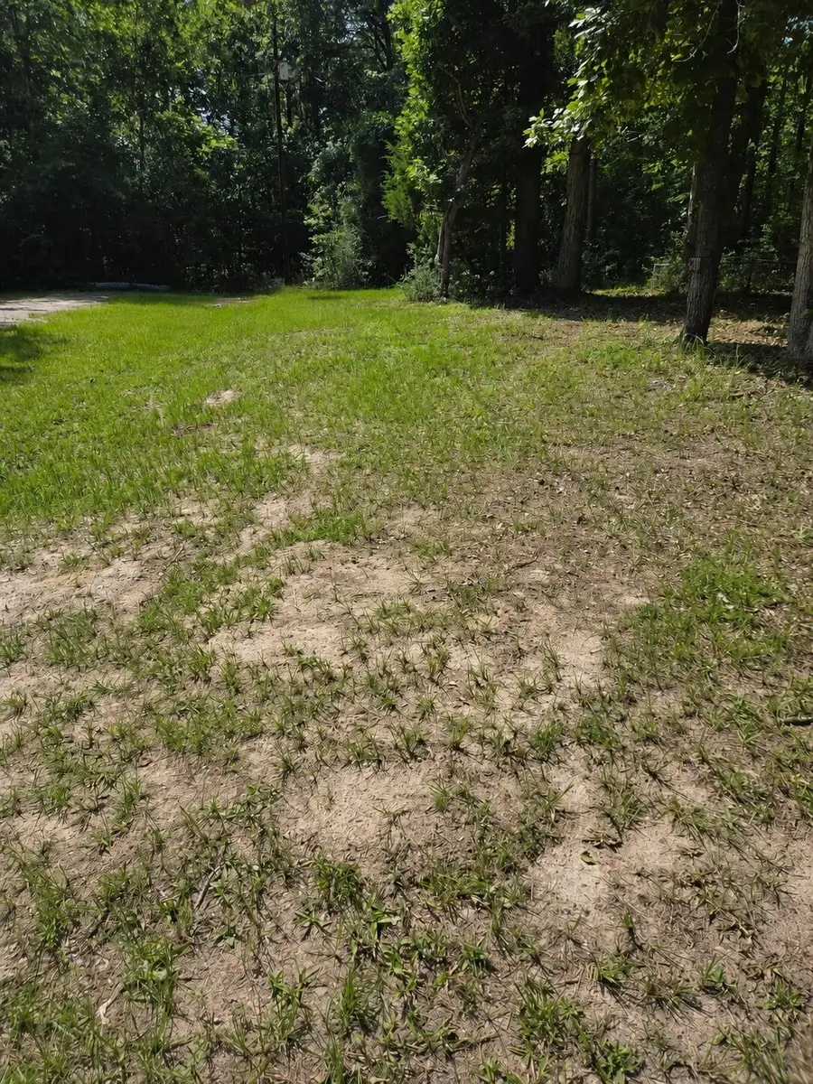 TBD Atchley Lane, Trinity, TX 75862 - #2
