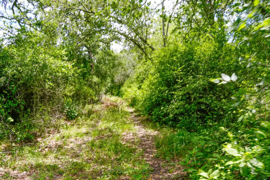 tbd Farm To Market 3233, La Grange, TX 78945 - Image #3