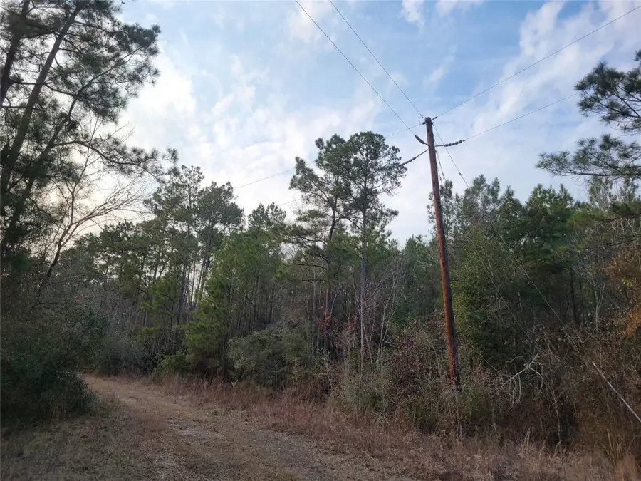 617 John Wesley Hardin Drive, Corrigan, TX 75939 - #3