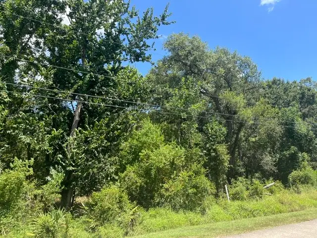 1131 Bronco Trail, Angleton, TX 77515 - #1
