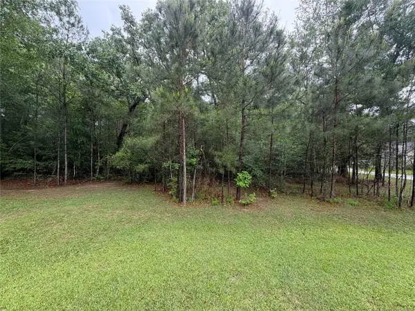 TBD Agassi Court, Magnolia, TX 77354