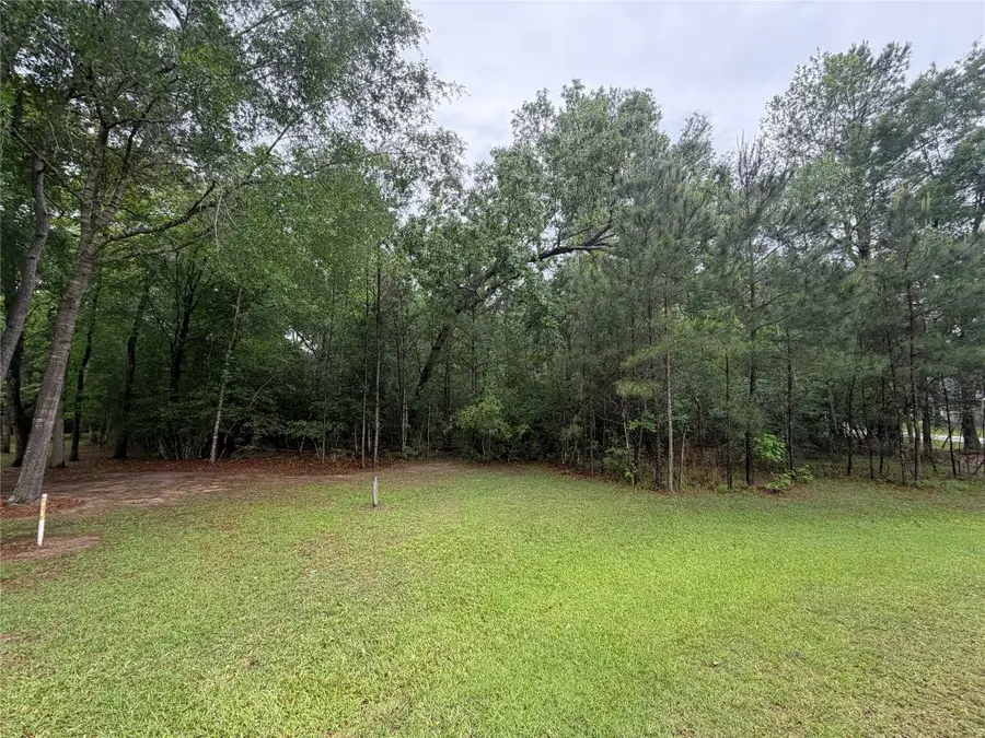 TBD Agassi Court, Magnolia, TX 77354 - #3