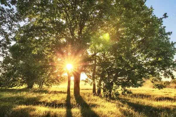 TBD - 7.62 Sandy Creek Road, Garwood, TX 77442