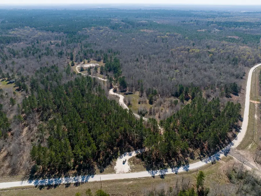 1653 Private Road 8160, Lovelady, TX 75851 - #3