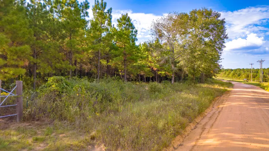 Lot 9 Nursery Road, Livingston, TX 77351 - #3