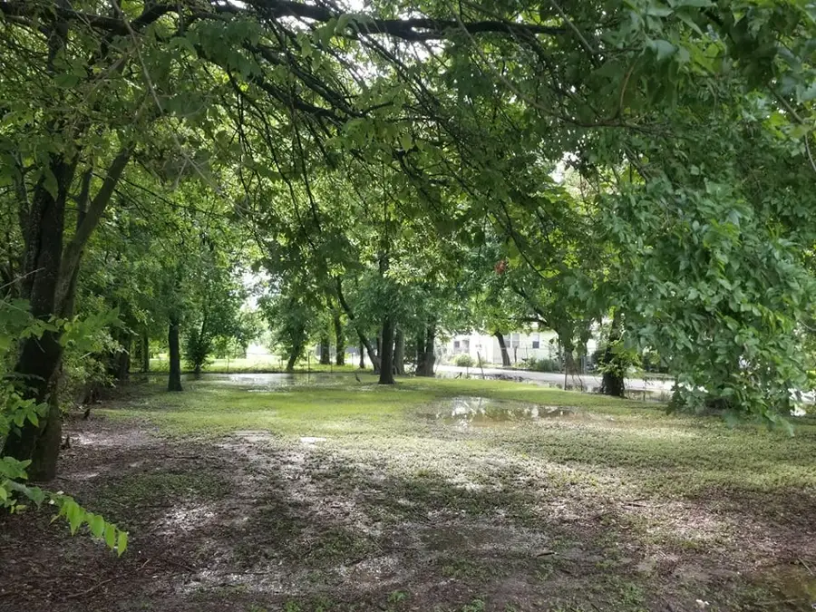 2523 Sakowitz Street, Houston, TX 77020 - Image #2