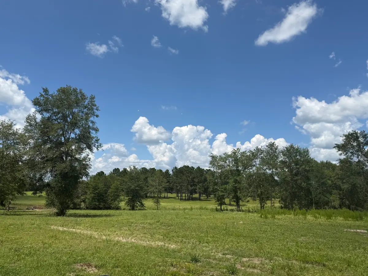 TBD N County Road 4050 Tract 1 Road, Lovelady, TX 75851 - #1