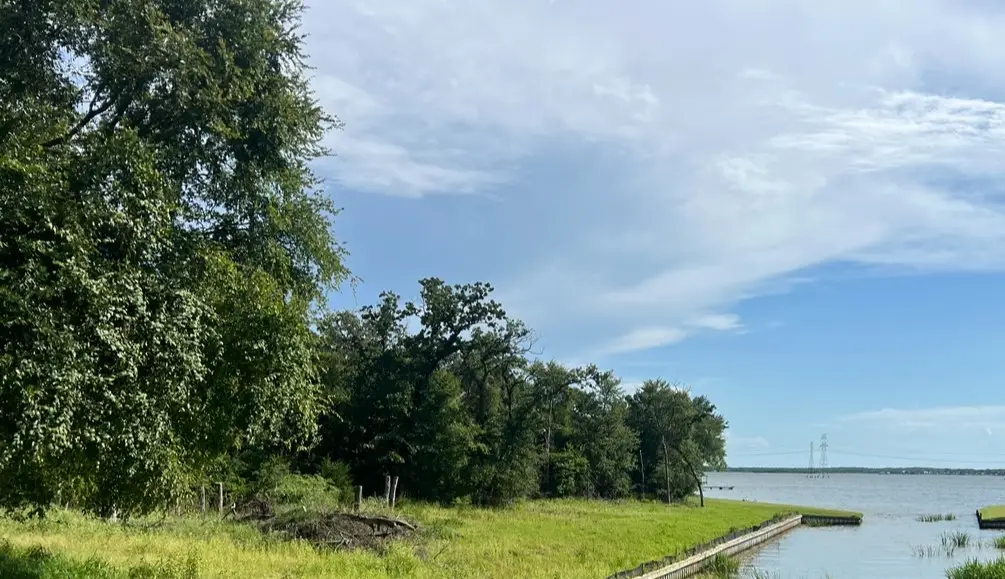 TBD LOTS 37&38 County Road 902, Jewett, TX 75846 - Image #1