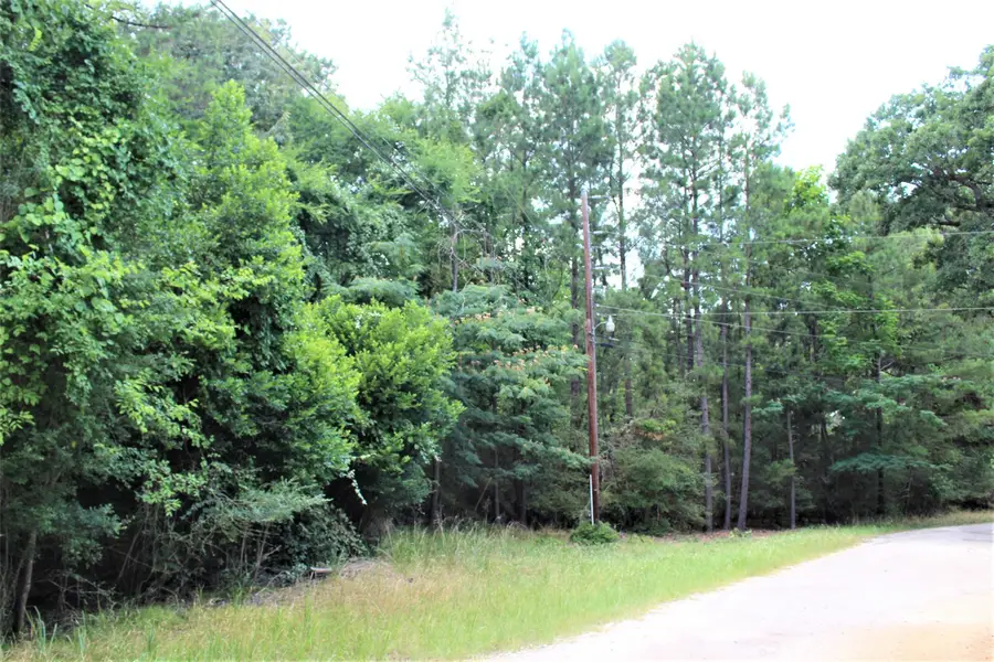 000 Running Deer, Grapeland, TX 75844 - Image #3