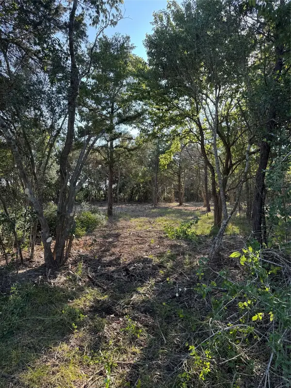 Lot 26 Winding Branch, Chappell Hill, TX 77426