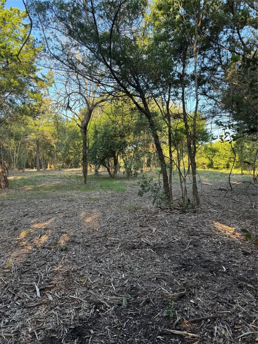 Lot 26 Winding Branch, Chappell Hill, TX 77426 - Image #3