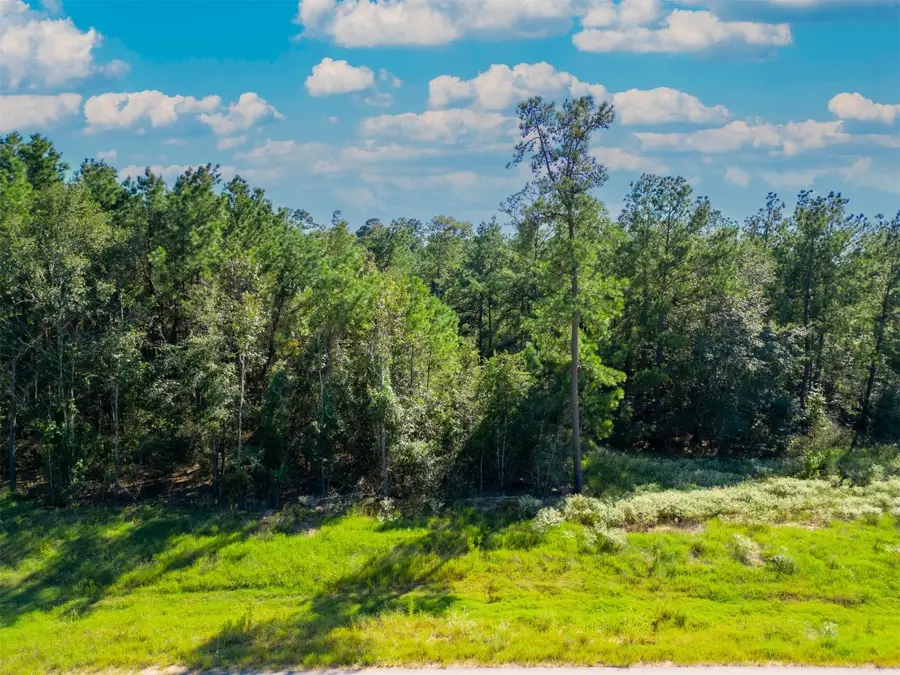 7737 Dog Wood Acres Drive, Montgomery, TX 77316 - #2