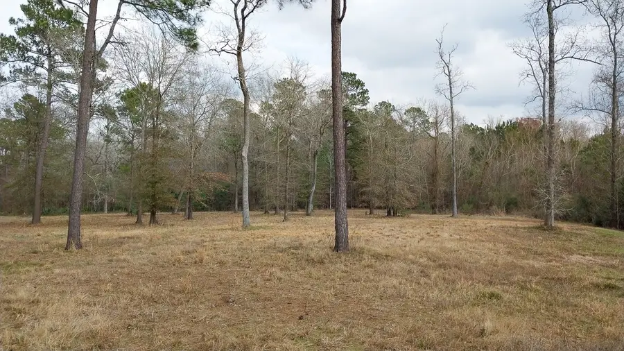 TBD Noah Court, Huntsville, TX 77320 - #3