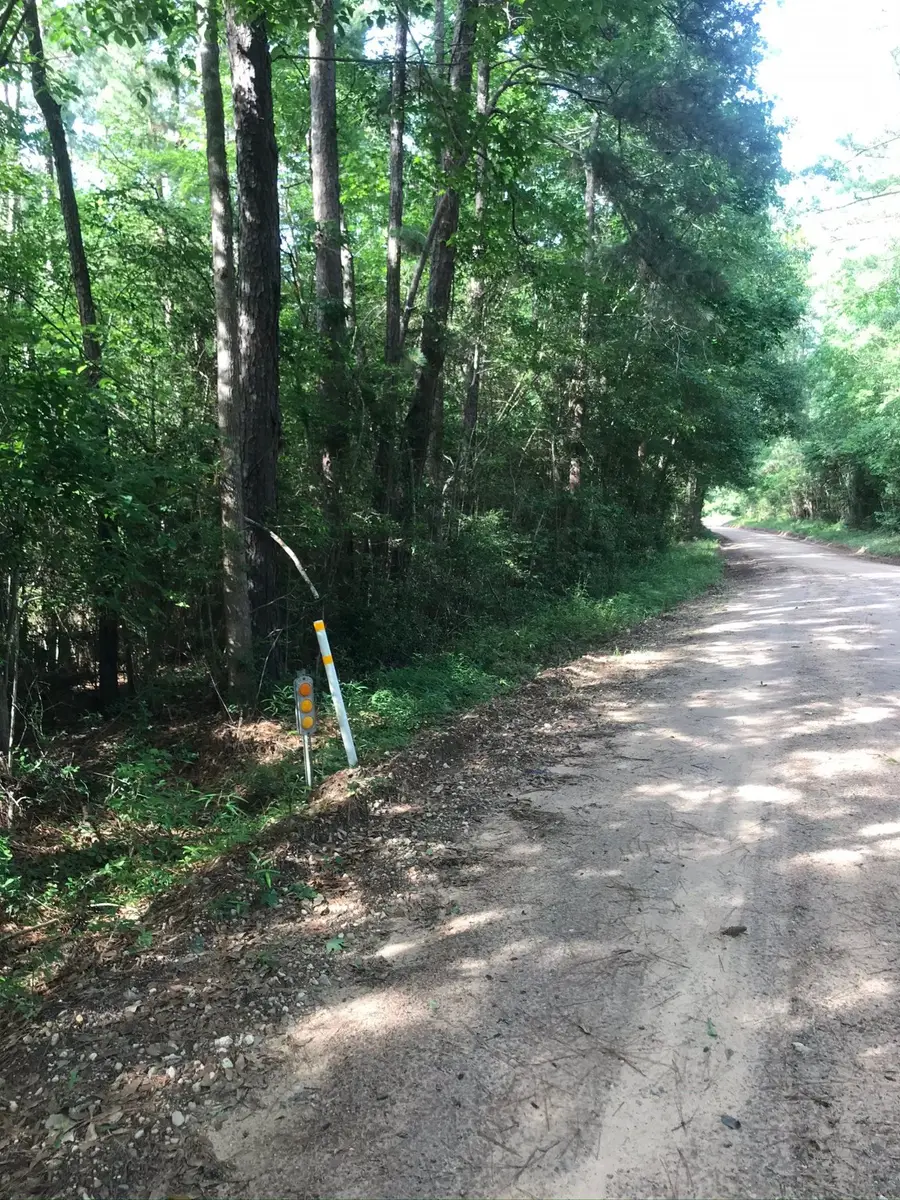 0 Frances Rd, Cleveland, TX 77328 - Image #3