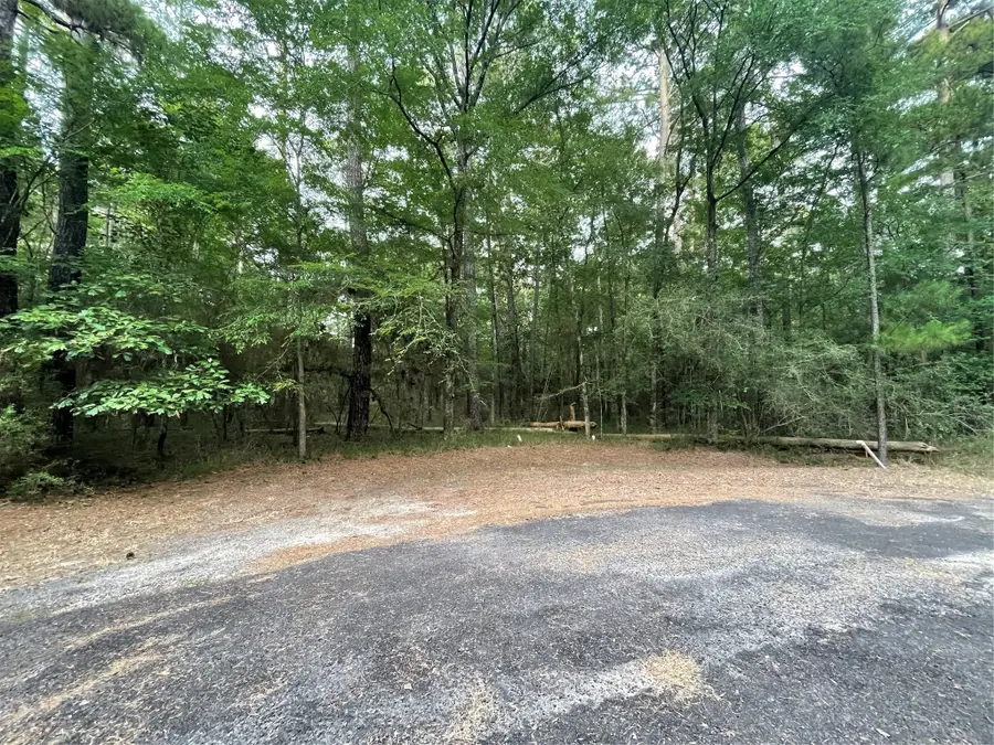 TBD N Clear Springs Road, Trinity, TX 75862 - Image #2
