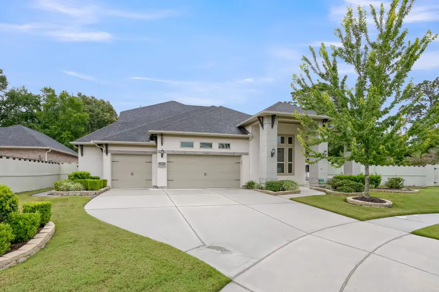 10402 Lake Palmetto Drive, Conroe, TX 77385 - #2