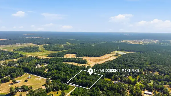 12259 Crockett Martin Road, Conroe, TX 77306