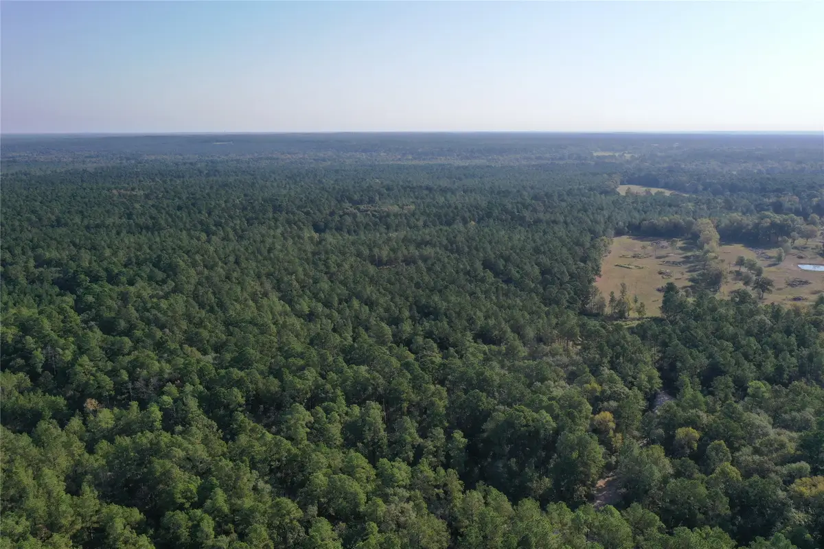 Tract 5 Trinity Lady Park Road, Trinity, TX 75862 - Image #1