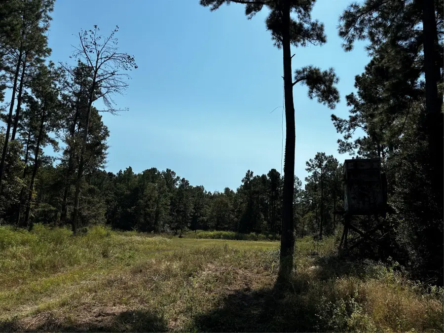 Tract 5 Trinity Lady Park Road, Trinity, TX 75862 - Image #2