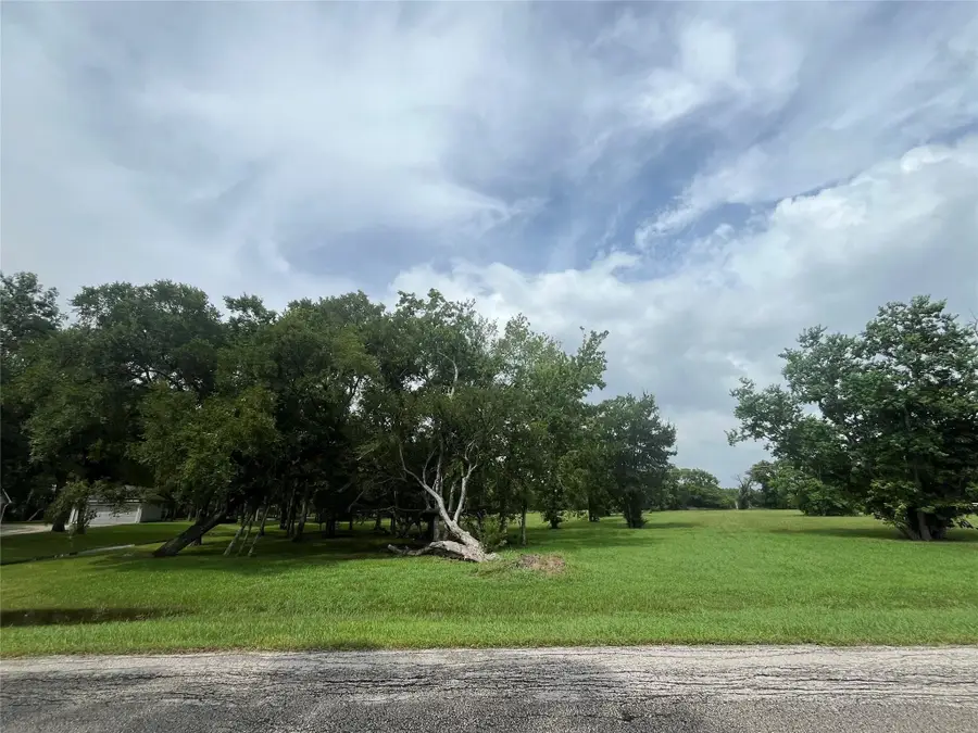 6703 Rustling Oaks Drive, Rosenberg, TX 77469 - #3