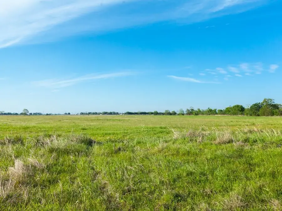 2301 Fm 360, Rosenberg, TX 77471 - Image #3