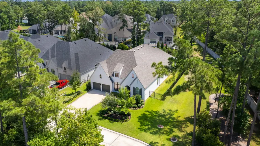223 S Empress Green Place, Montgomery, TX 77316 - #2