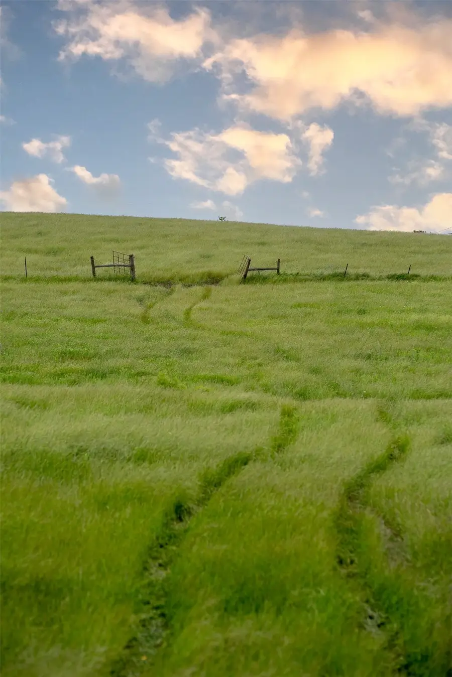 1716 B County Road 469, Coupland, TX 78615 - Image #3