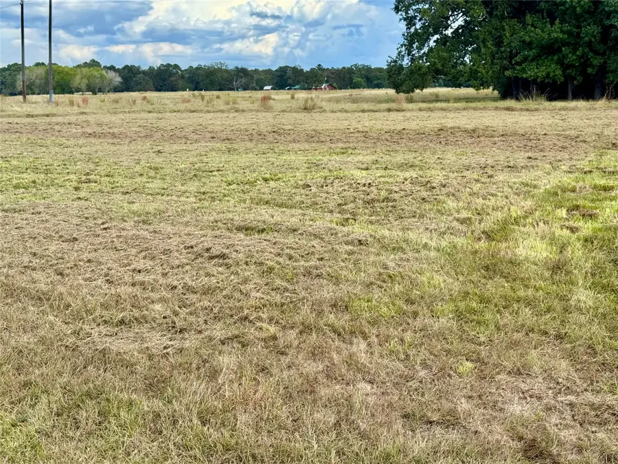 TBD 01 Hot Springs Drive, Trinity, TX 75862 - Image #2