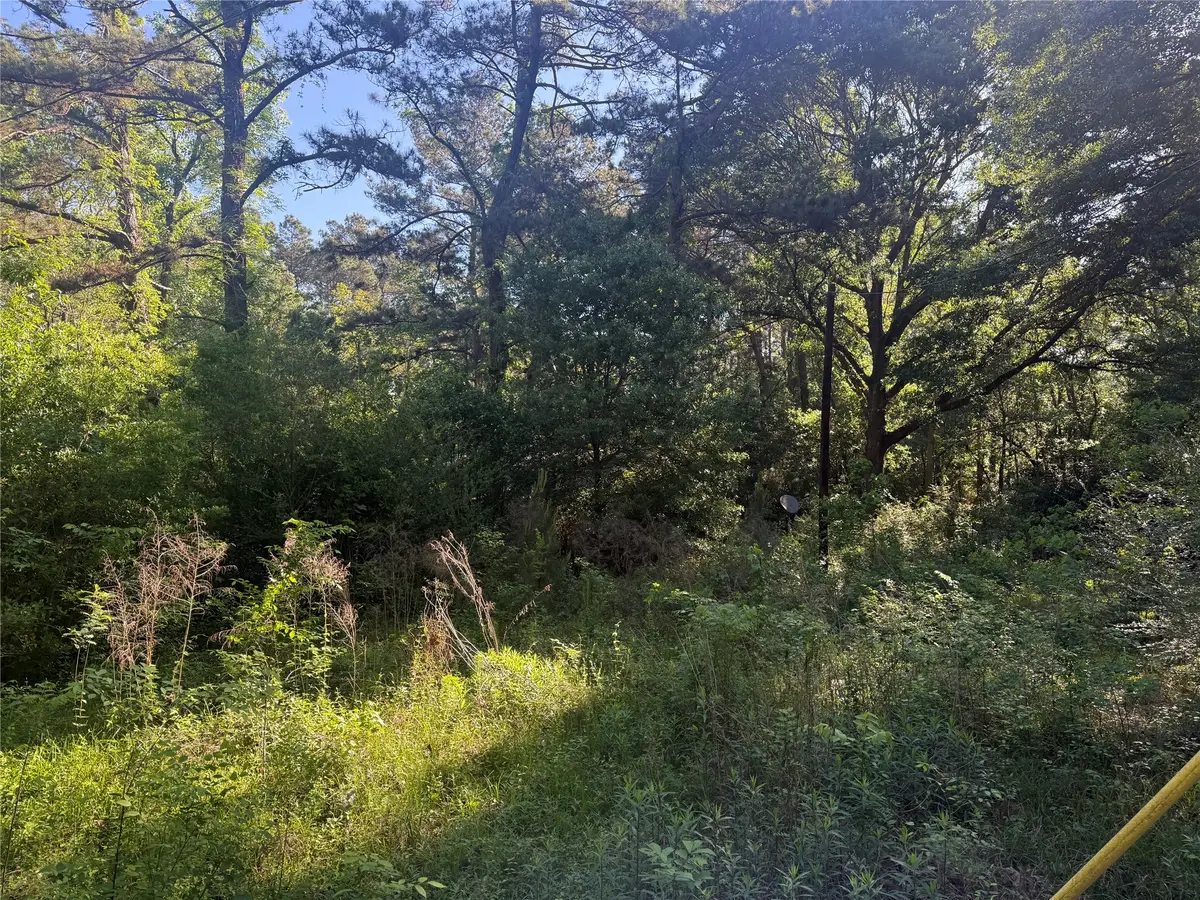 40 County Road 2203, Cleveland, TX 77327 - #1