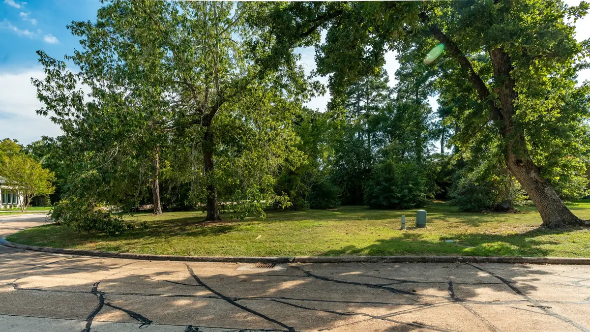 15 Stanford Court, Montgomery, TX 77356 - #1