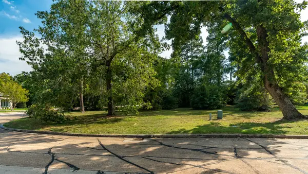 15 Stanford Court, Montgomery, TX 77356