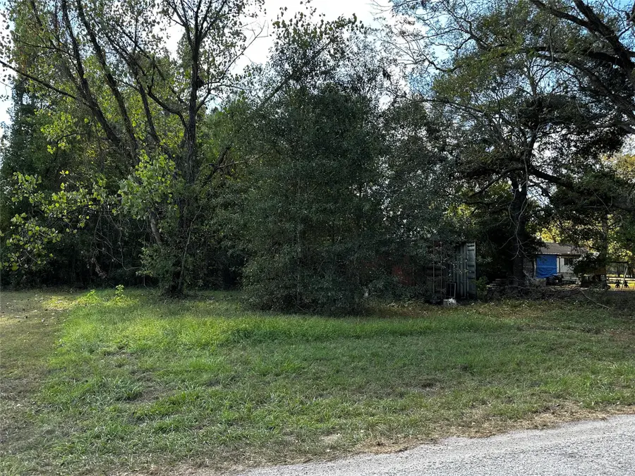 27700 Knoll Acres, New Caney, TX 77357 - Image #2