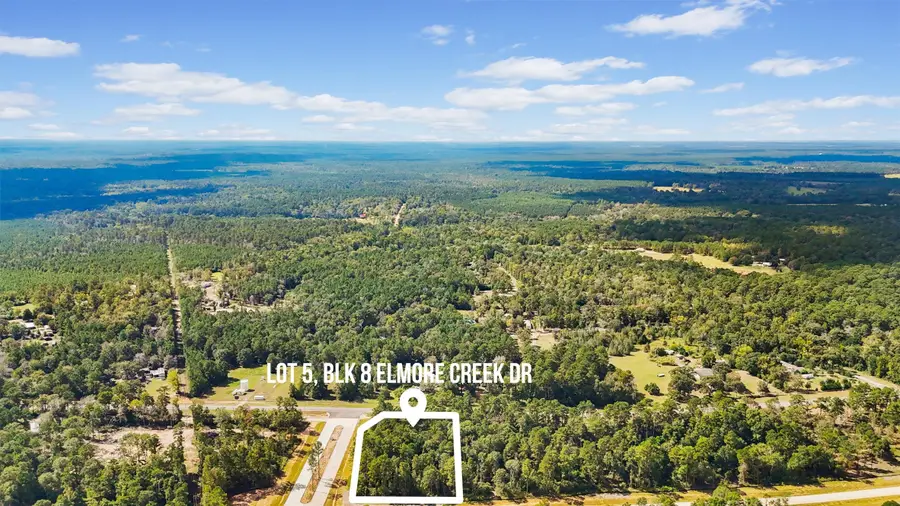 Lot 5, Blk 8, Sec 1 Elmore Creek Drive, Willis, TX 77378 - Image #2